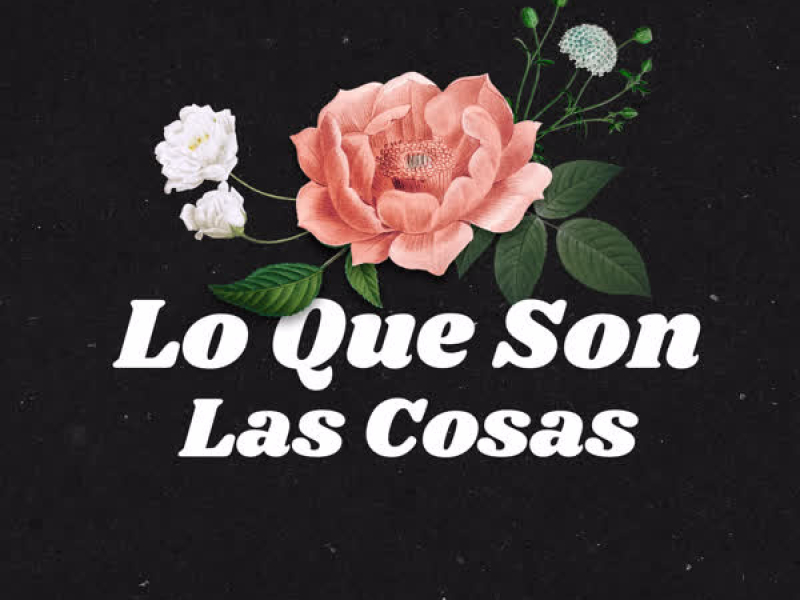 Lo Que Son las Cosas (Single)