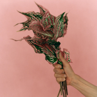 P.S. I Love You (Single)