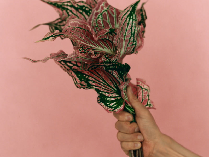 P.S. I Love You (Single)