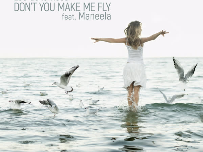 Don't You Make Me Fly (Single)