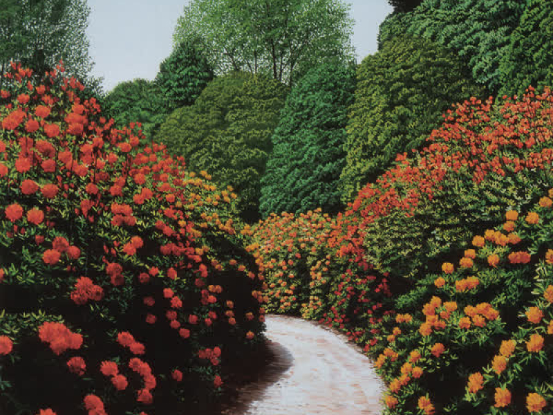 Count Backwards From 10