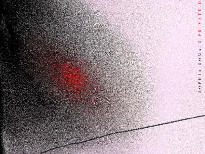 Private Dancer (Single)