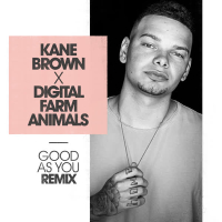 Good as You (Digital Farm Animals Remix) (Single)