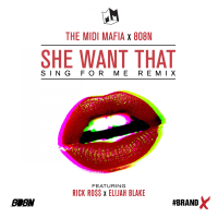 She Want That (feat. Rick Ross & Elijah Blake) (Sing For Me Remix)