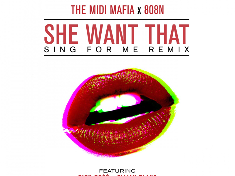She Want That (feat. Rick Ross & Elijah Blake) (Sing For Me Remix)