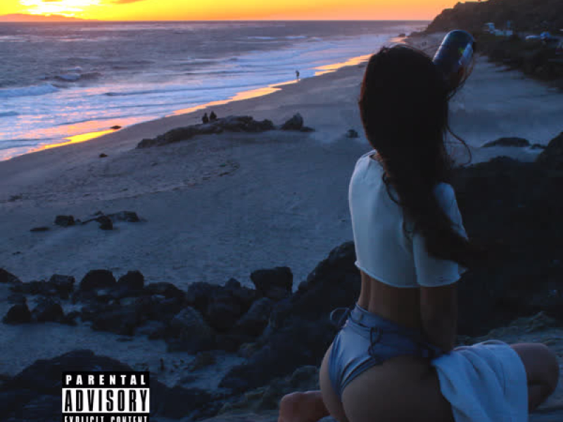 Dangerous Dream (Single)