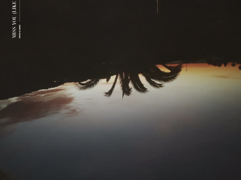 Miss You (Like Hell) (Single)