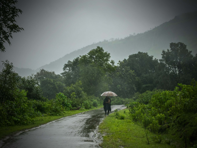 Peaceful Sound of Rain for Good Mood and Relaxation (Single)