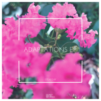 Adaptations (Single)
