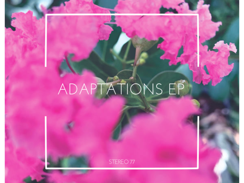 Adaptations (Single)