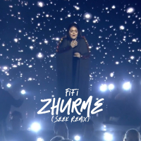 Zhurme (Seek Remix) (Single)