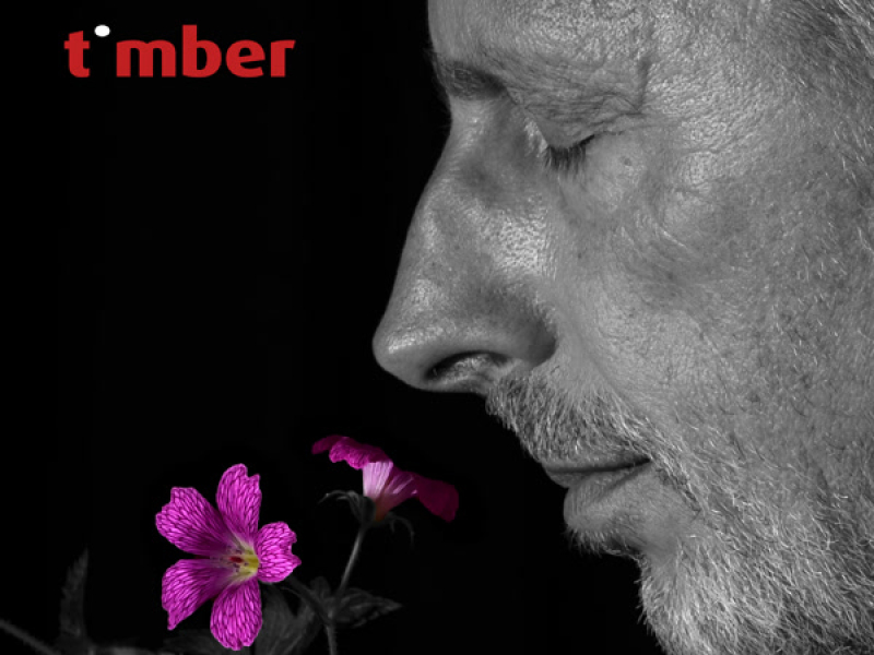 In the garden (Single)