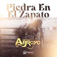 Piedra en el Zapato (Single)