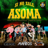 Si No Sale Se Asoma (En Vivo) (EP)