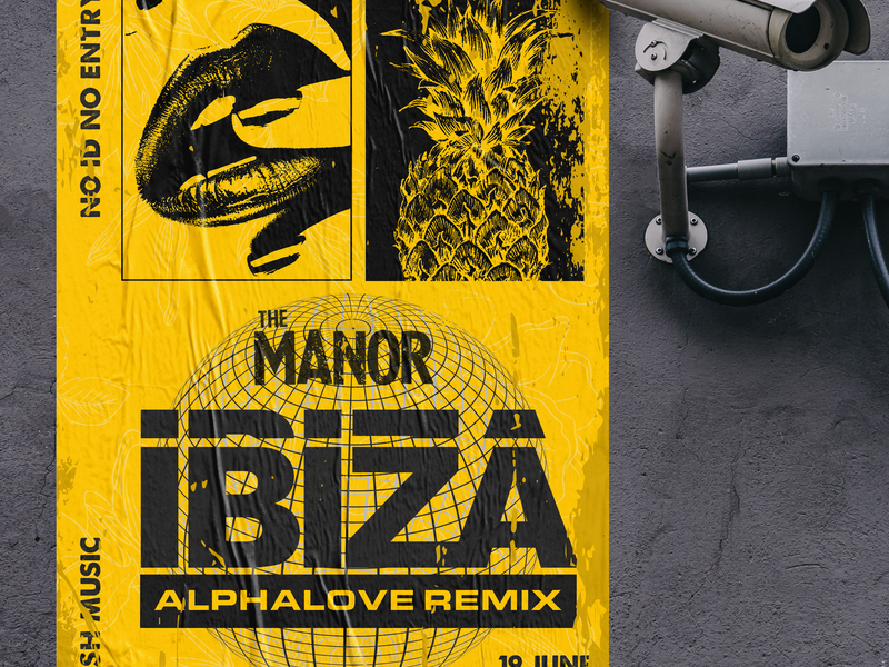 Ibiza (Alphalove Remix) (Single)