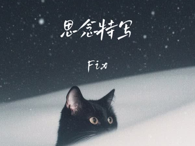 思念特写 (Single)