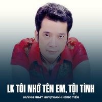 LK Tôi Nhớ Tên Em, Tội Tình (Single)