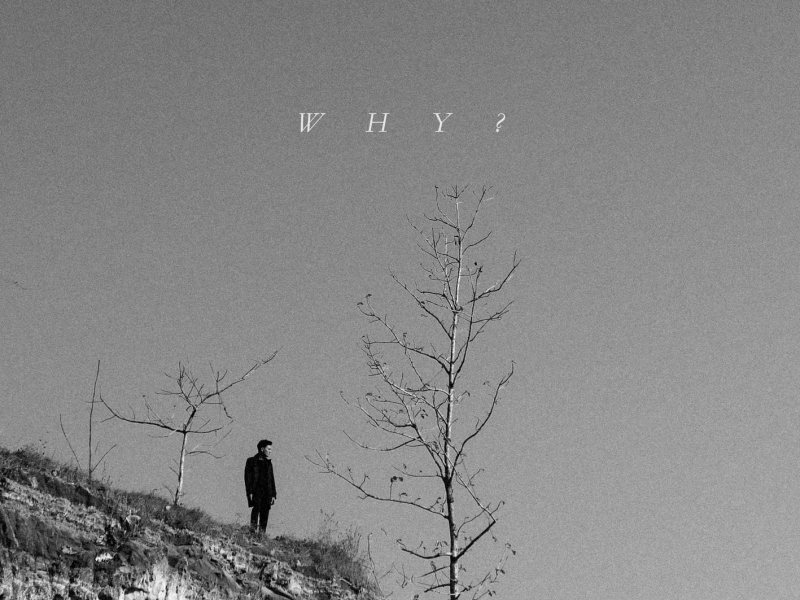 Why? (Single)