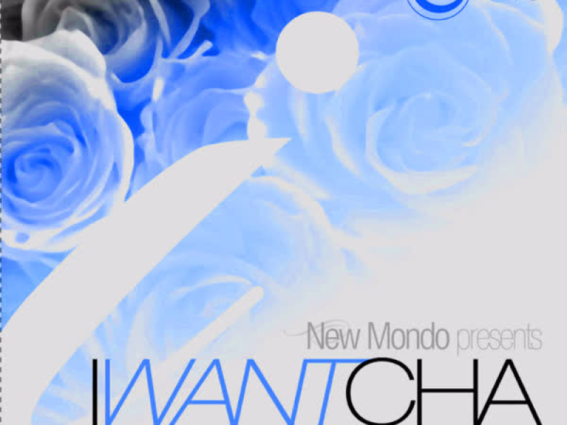 I Want Cha - Remixed (feat. Lisa Shaw)