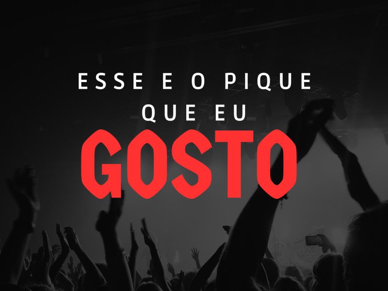 Esse E O Pique Que Eu Gosto (Single)