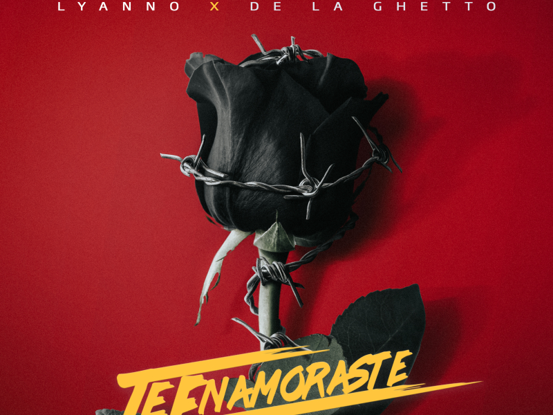 Te Enamoraste (Single)