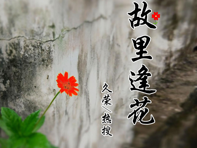 故里逢花 (Single)