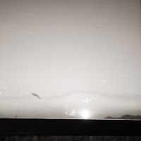 the story can resume (Single)