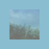 A Basic Understanding (Single)