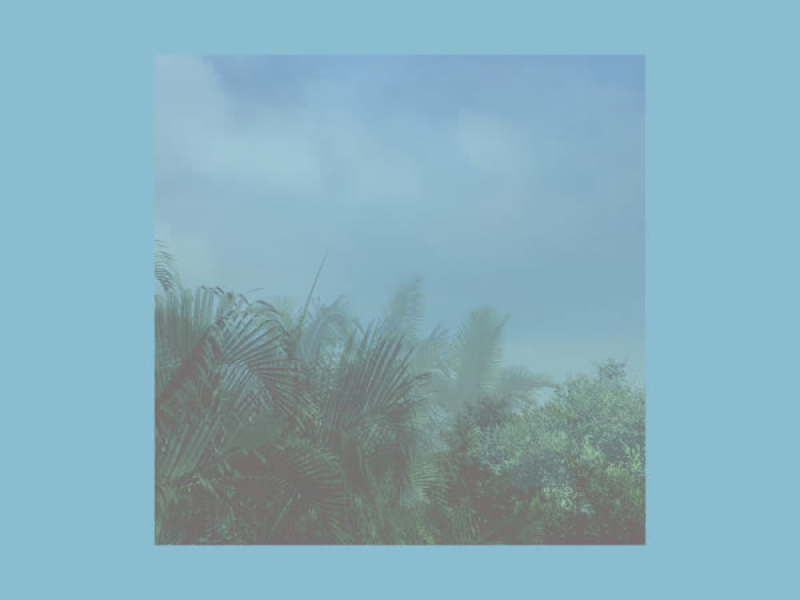 A Basic Understanding (Single)