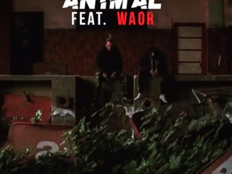 Los Olvidados (Single)