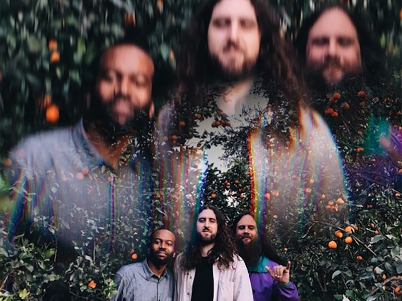 Ojai Orange Grove Concert (Live in Ojai)