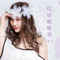 红尘相思泪 (EP)