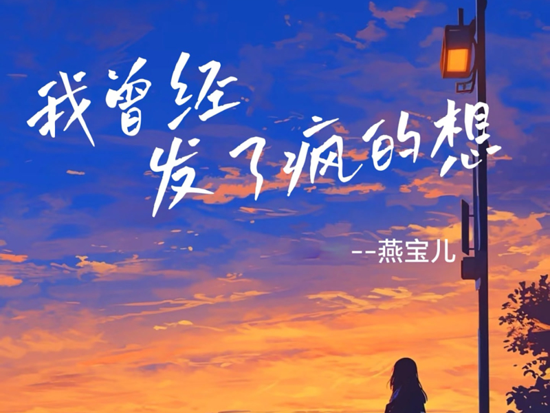 我曾经发了疯的想 (DJ卡点版) (Single)