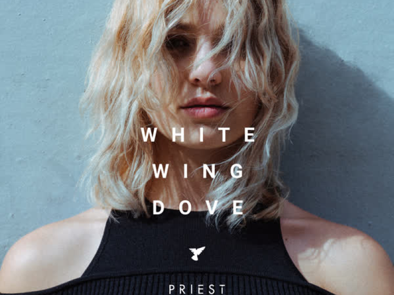 White Wing Dove (Single)