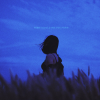 wish i could see you again (Single)