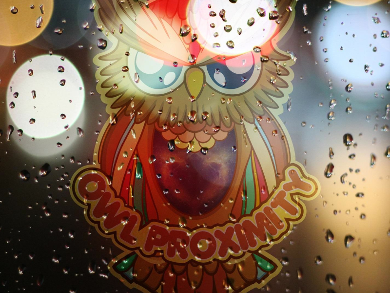 They'll Tell You (Single)