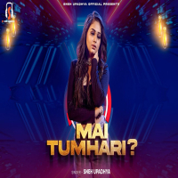 Mai Tumhari (Single)