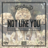 Not Like You (feat. Symba)