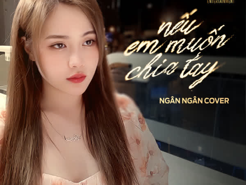Nếu Em Muốn Chia Tay (Instrument) (Single)