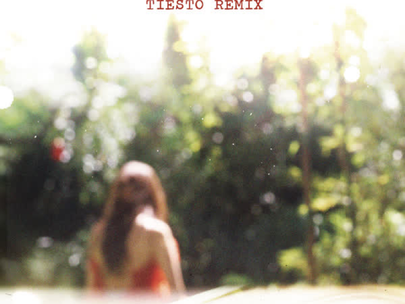 Carried Away (Tiësto Remix) (Single)