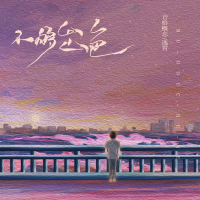 不够出色 (1.3加速版) (Single)