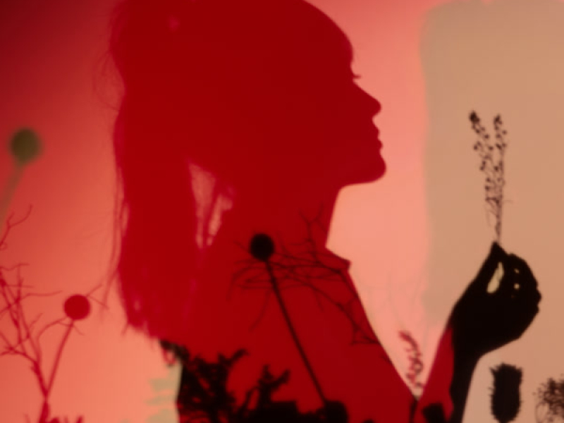 I Want You to Know (Single)