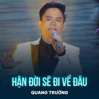 Hận Đời Sẽ Đi Về Đâu (Single)