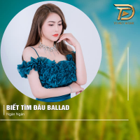 Biết Tìm Đâu (Ballad) (Single)