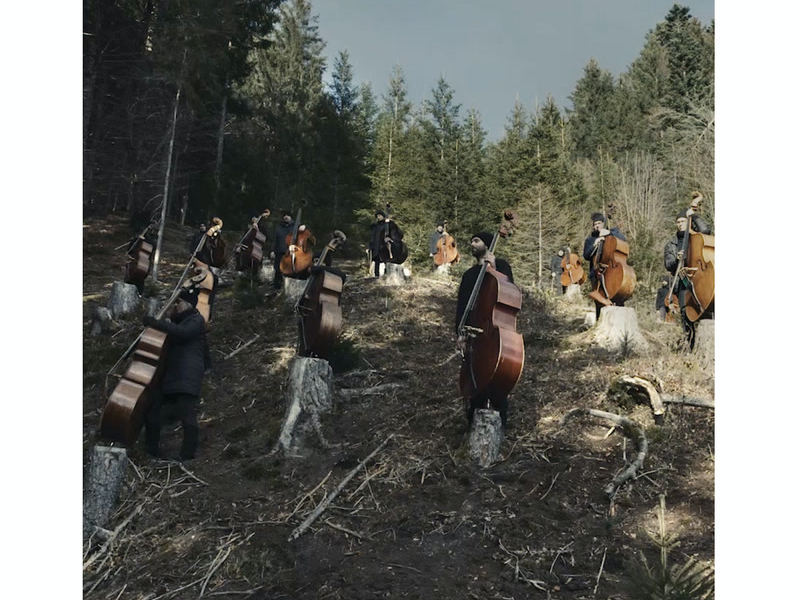 Trees for the Wood (Single)