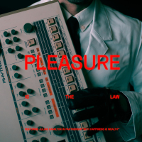 Pleasure is the Law (Single)