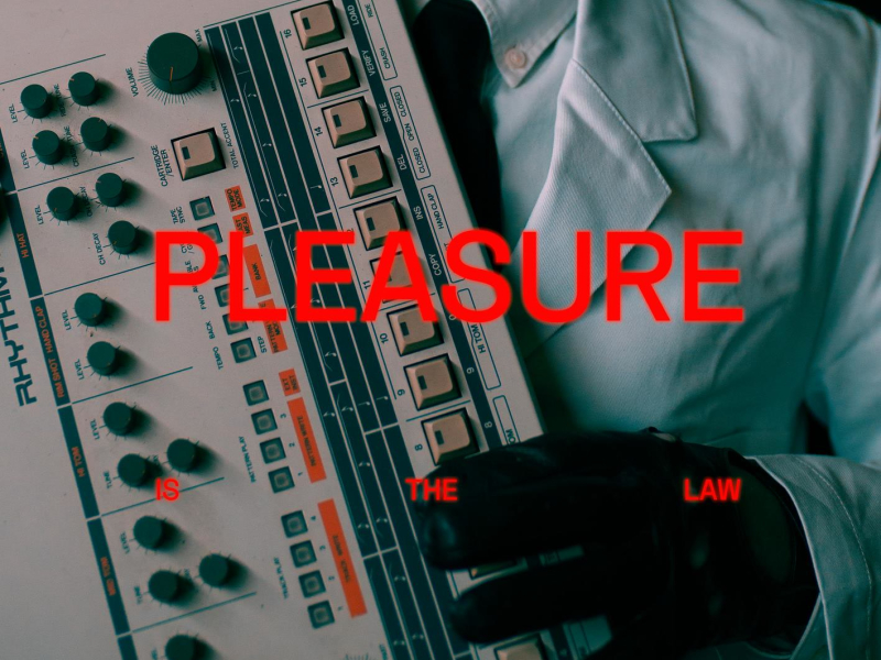 Pleasure is the Law (Single)