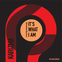 It's What I Am (Simbad Remix)