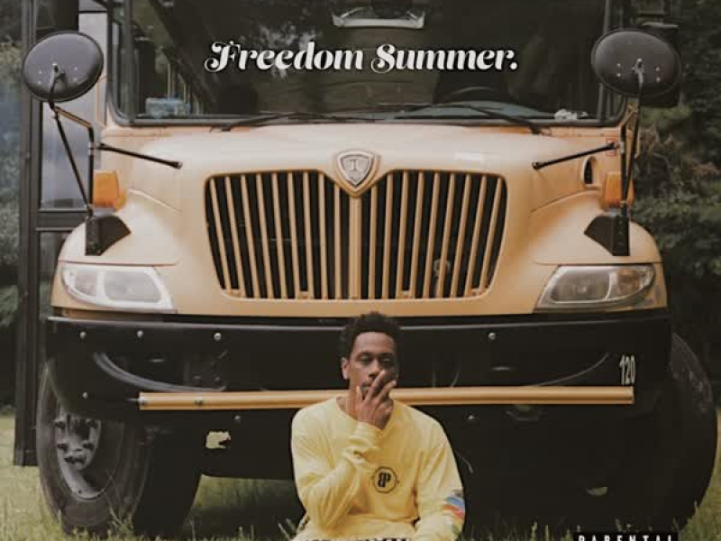 Freedom Summer