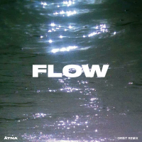 Flow (orbit Remix) (Single)